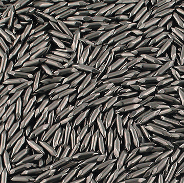 Stainless Steel Shot - Pins 2 lbs.